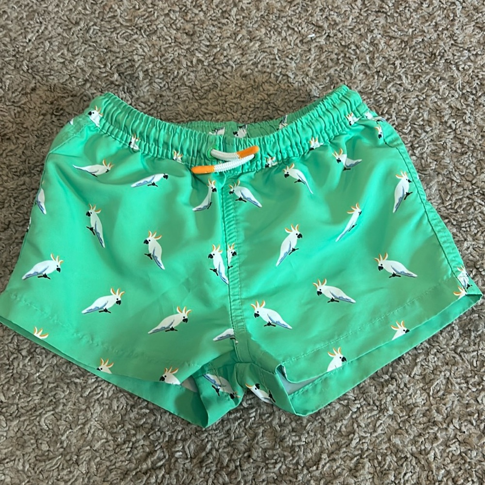Zara Swim Trunks